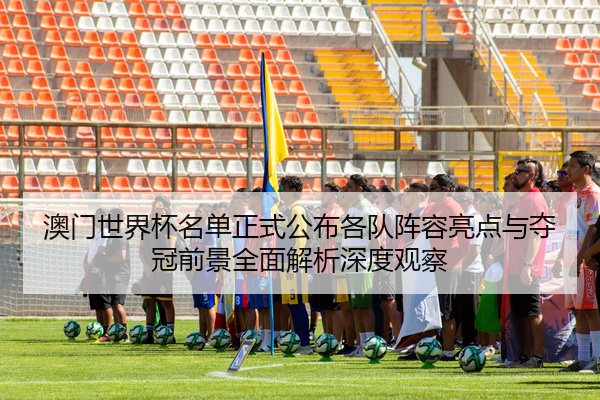 澳门世界杯名单正式公布各队阵容亮点与夺冠前景全面解析深度观察