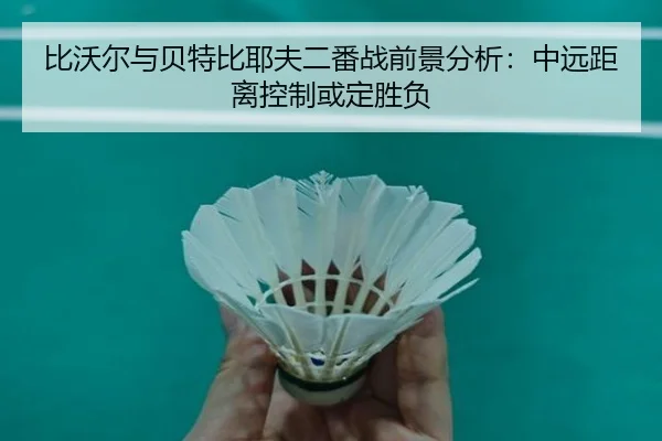 比沃尔与贝特比耶夫二番战前景分析：中远距离控制或定胜负（HTH tiyu app）