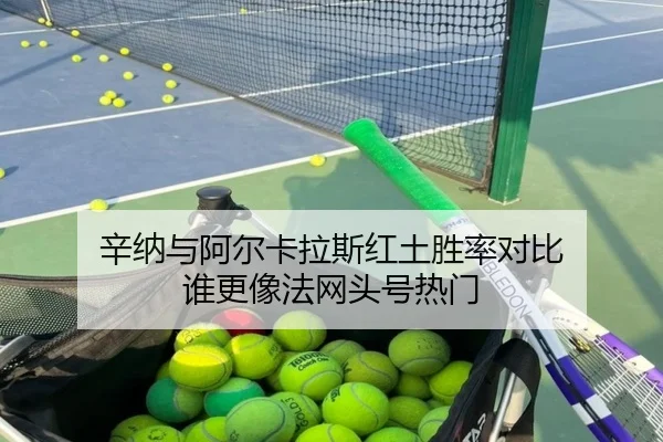 辛纳与阿尔卡拉斯红土胜率对比 谁更像法网头号热门 | HTH tiyu app